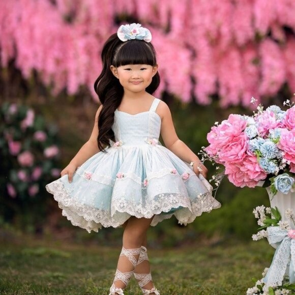 Dollcake Golly Gosh Blue Dress Girls size 12 Lace Floral Rose Tulle - Picture 1 of 13